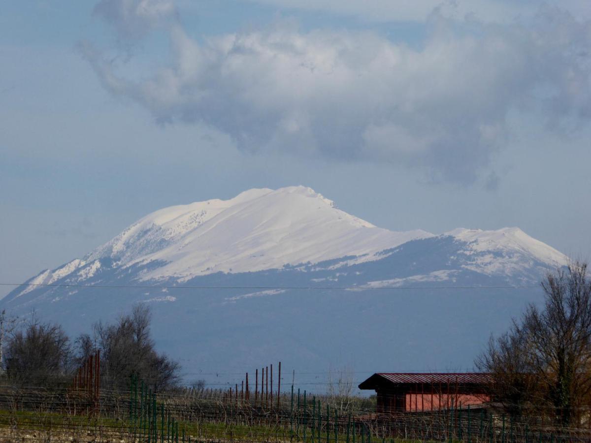 Casa Marele Βίλα San Martino della Battaglia Εξωτερικό φωτογραφία